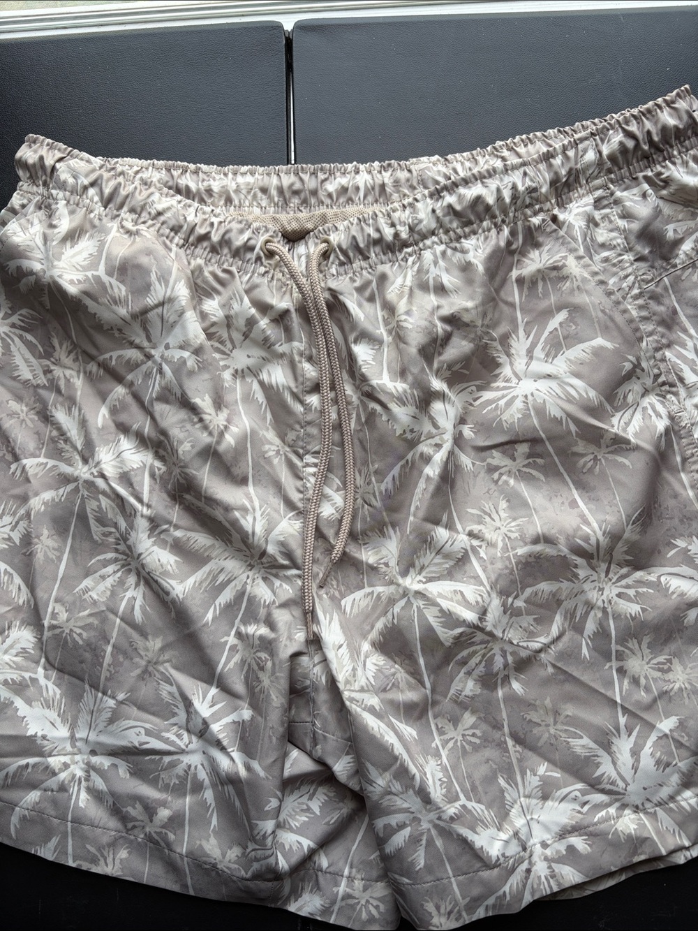 DSG Men's Taupe Palm-Print Swim Trunks